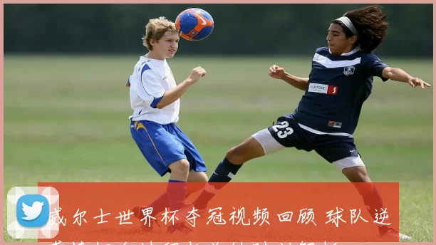 威尔士世界杯夺冠视频回顾 球队逆袭捧杯全过程与关键时刻解析